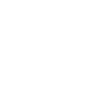 Lion Games