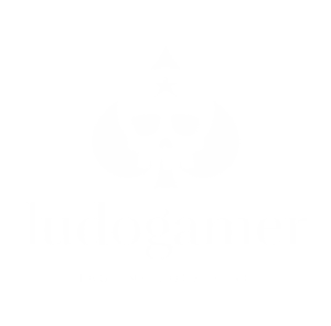 ludogamer